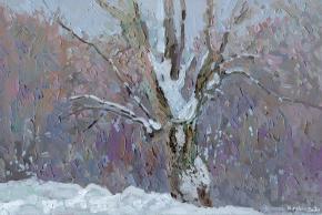 Simon Kozhin. Snow-covered poplar. Tsaritsyno