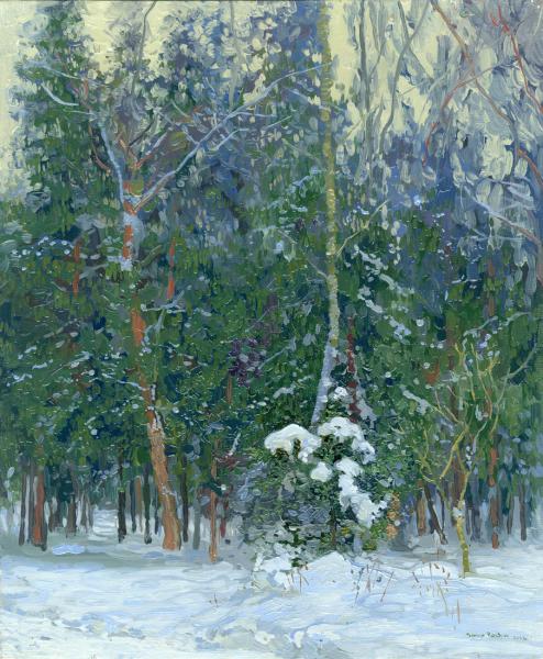 Simon Kozhin. Anikeevka. The forest.