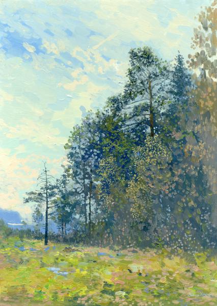 Simon Kozhin. Willow tree blossoms.